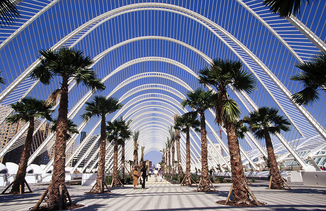 The Umbracle , City of Arts and Sciences, by S. Calatrava. Valencia. Spain