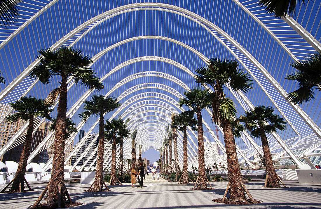 The Umbracle , Stadt der Künste und der Wissenschaften, von S. Calatrava. Valencia. Spanien