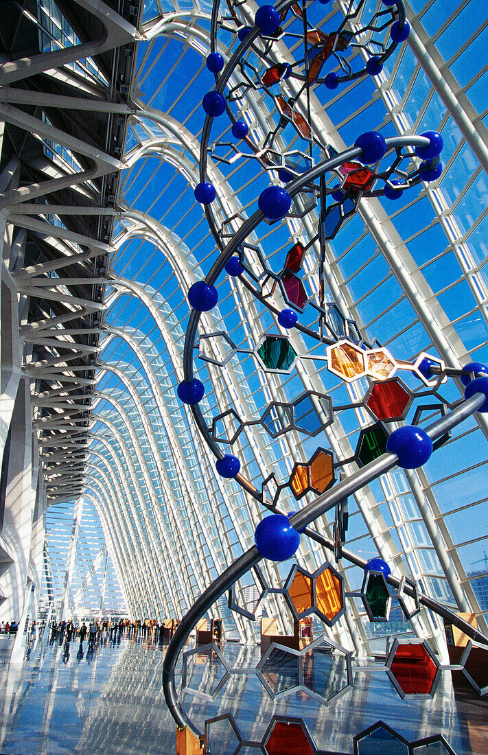 Museo de las Ciencias Príncipe Felipe, Stadt der Künste und der Wissenschaften, von S. Calatrava. Valencia. Spanien