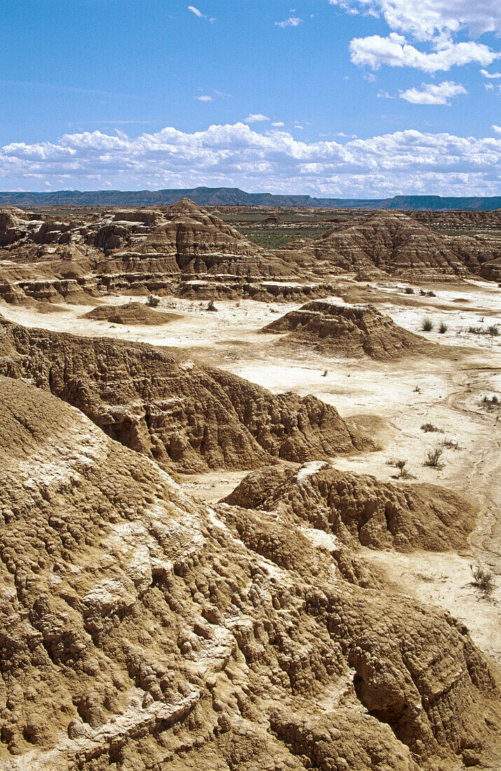 Las Bardenas Reales. Navarra. Spanien