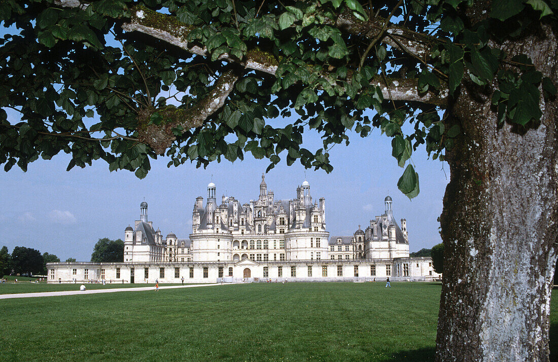 Chambord Castle. France