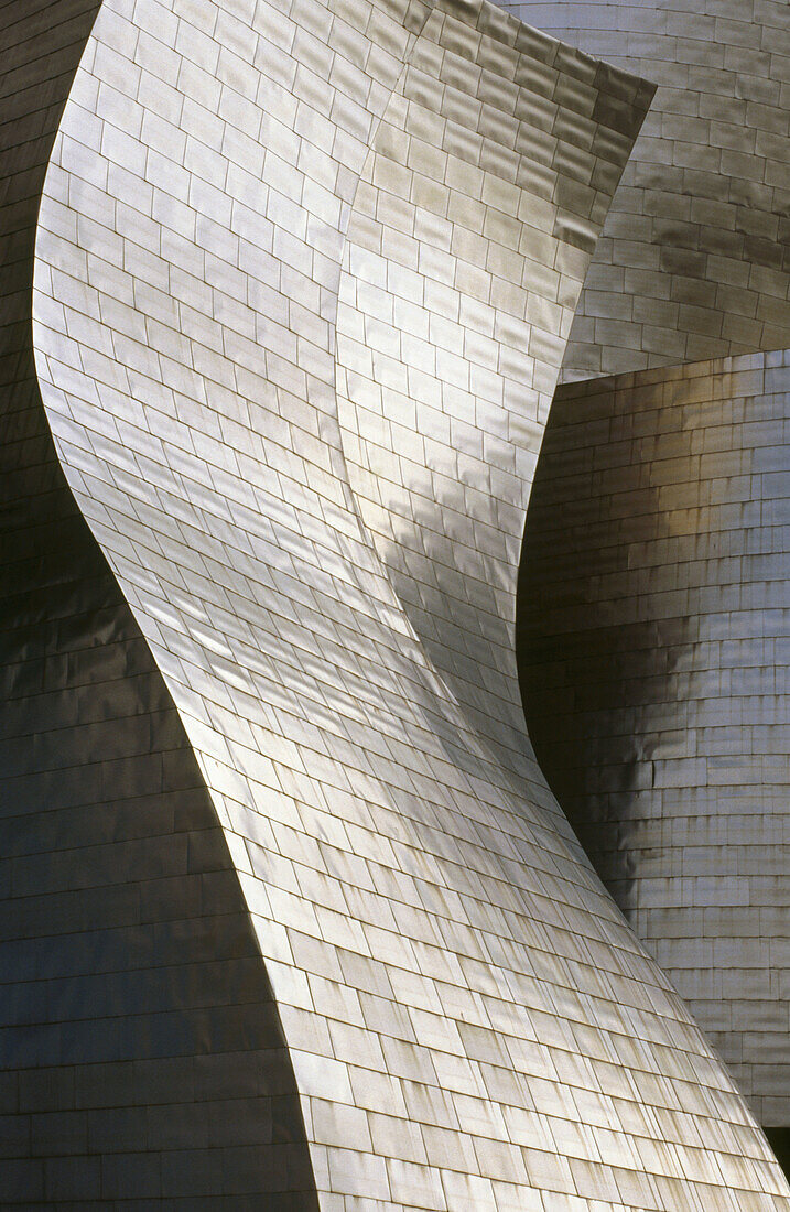 Detail der Fassade des Guggenheim-Museums, von Frank O. Gehry. Bilbao. Biskaya. Spanien