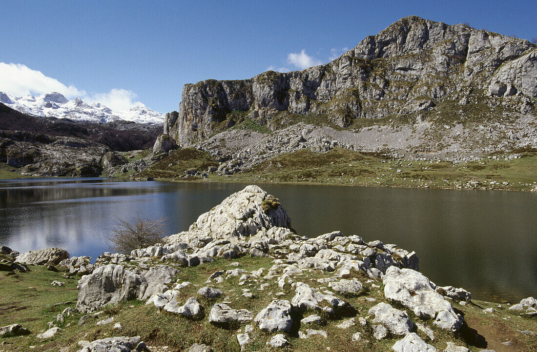 Ercina-See. Covadonga. Nationalpark Picos de Europa. Asturien. Spanien