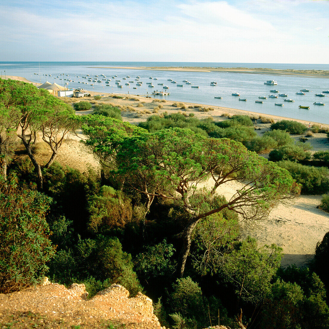 El Rompido (Cartaya municipality). Huelva province. Andalusia. Spain