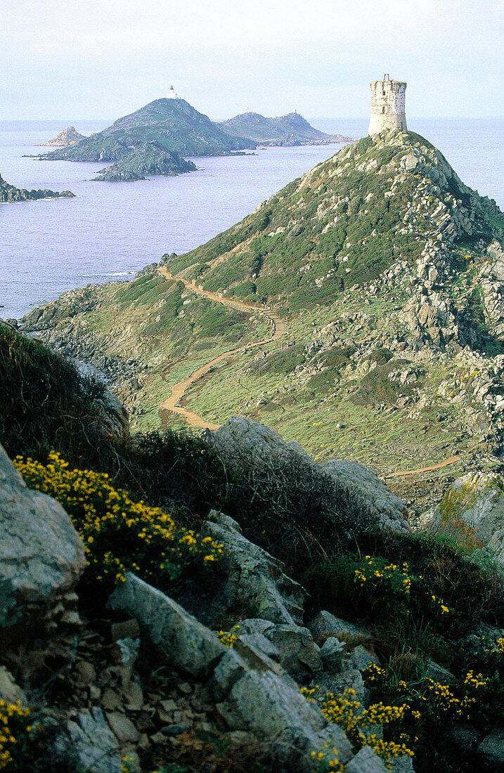 Iles Sanguinaires and Genoese watchtower. Corsica Island. France