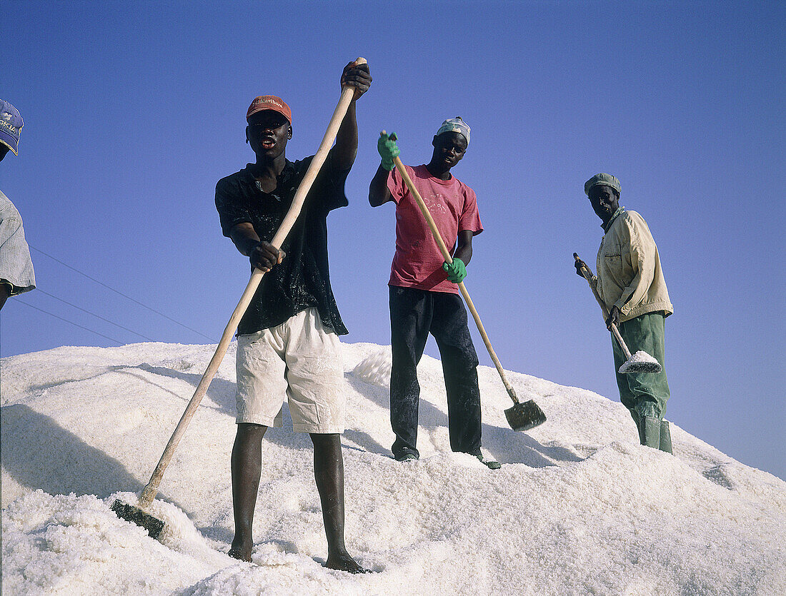 Men at work on a hill of salt in salted marshes near Kaolack. Sine Saloum province. Senegal