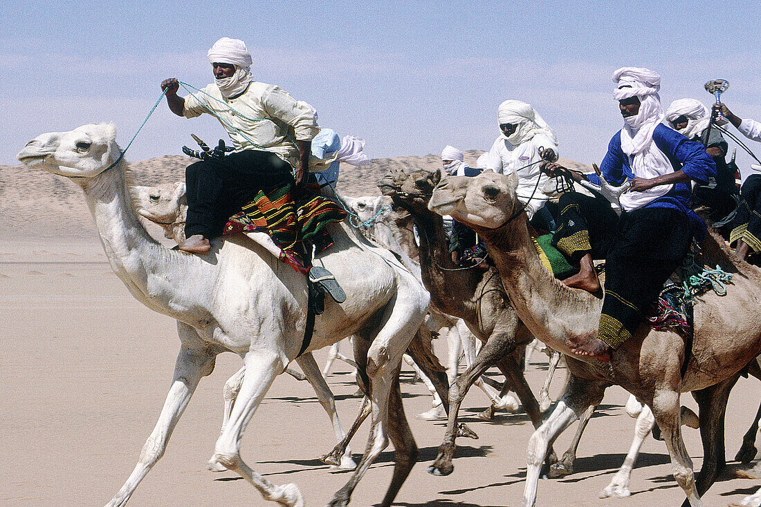 Tuareg men in the Sebiba Camels Race. Djanet Oasis. Tassili n Ajjer desert. Sahara. South Algeria
