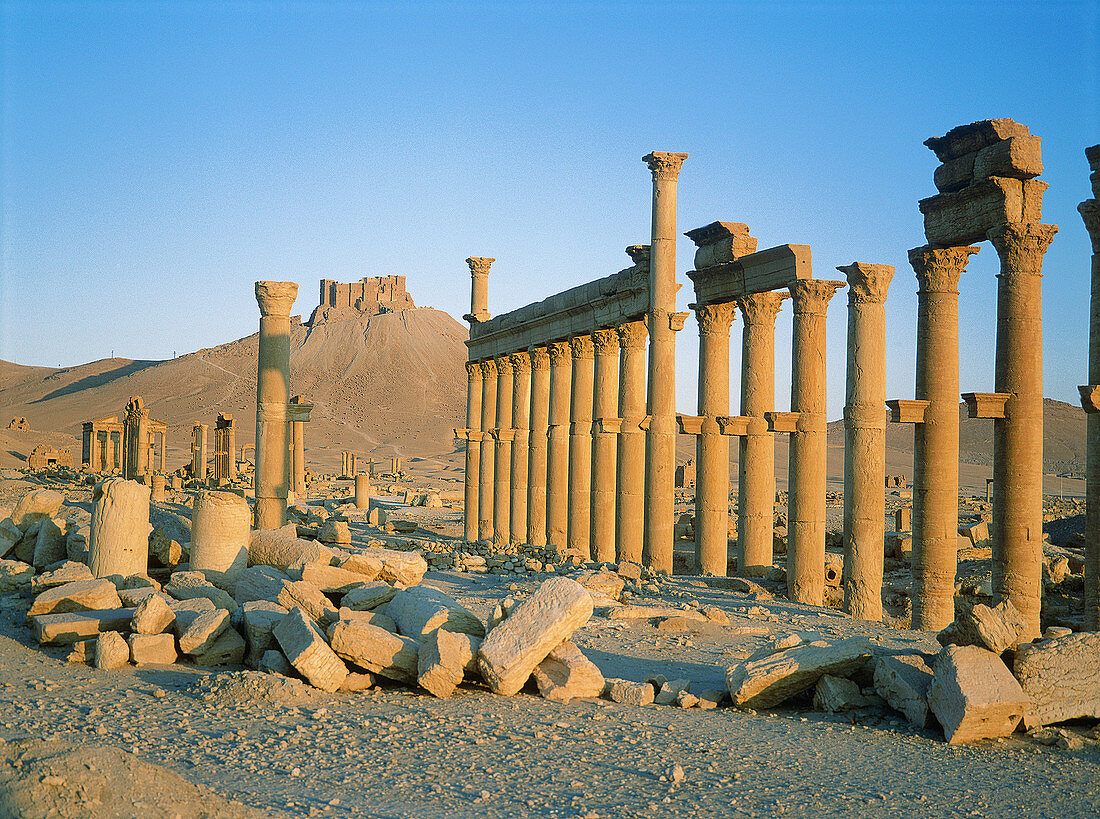 Palmyra ruins, remains of the 1200 m. colonnade edging the cardo (main road in Roman cities). Syria