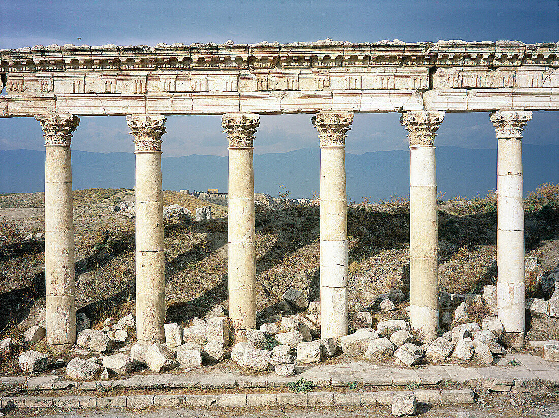 Ruins of colonnade along cardo (main street in ancient Roman cities). Apamea. Syria