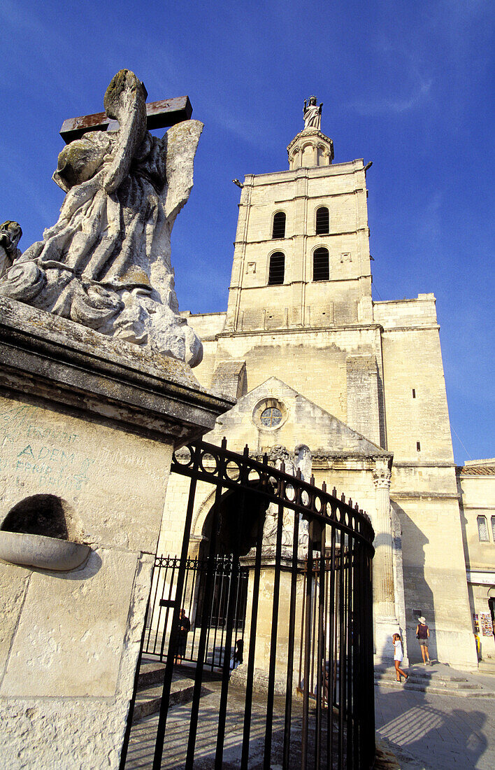 Notre-Dame des Doms. Avignon. Vaucluse. Provence. France