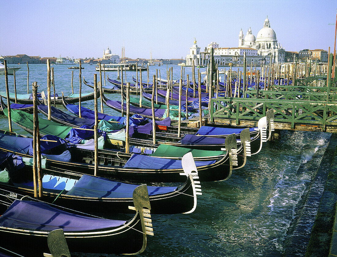 Gondolas at pier with Santa Maria della Salute church in background. Venice. Italy