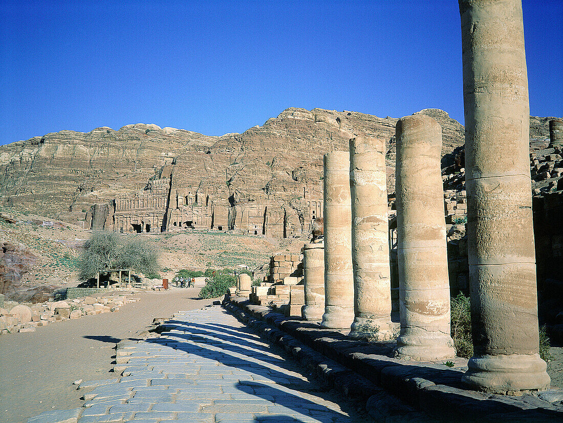 Ruins of columns along the roman cardo. Nabatean site of Petra. Jordan