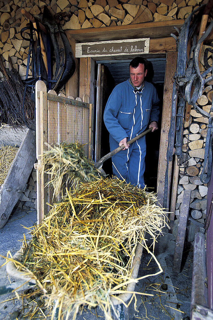 Hervé Audibert cleaning the stables. La Ferme de mon Père , Marc Veyrat three Michelin stars restaurant and lodge. He has been noted 20/20 by Gault-Millau guide, highest noted ever. Megeve. Haute Savoie. Alps. France