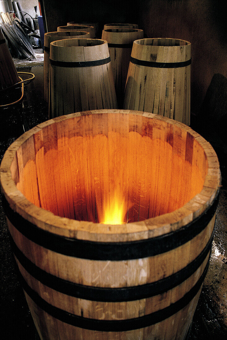 Manufacturig oak barrels, burning the interior. Beaune. Cote d Or. Burgundy. France