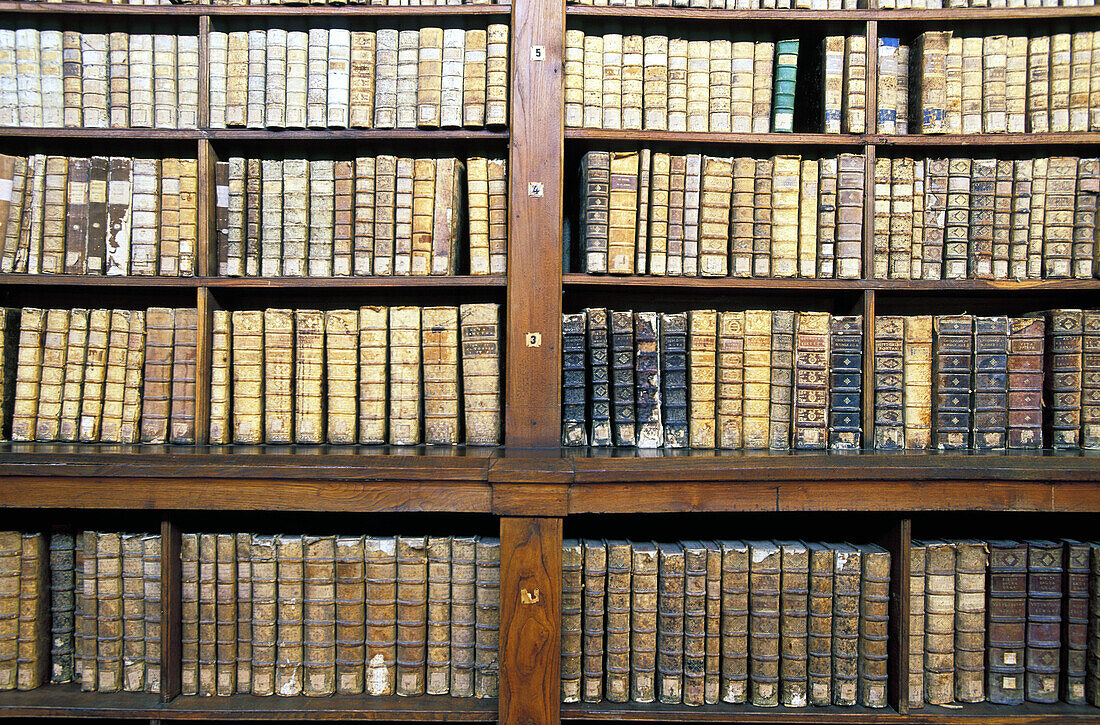 Library. Musee-Palais Fesch (Fesch Palace and Collections). Ajaccio. South Corsica. Corsica Island. France