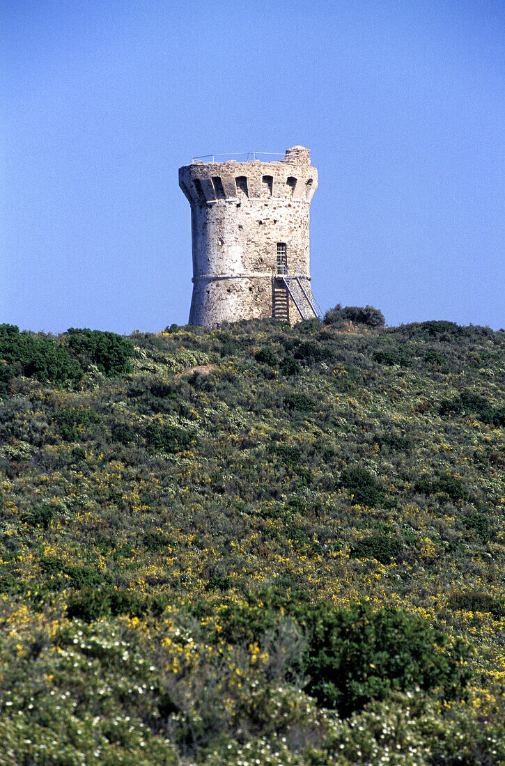 Gulf of Pinarellu and Genoese Tower. East coast. South Corsica. Corsica Island. France
