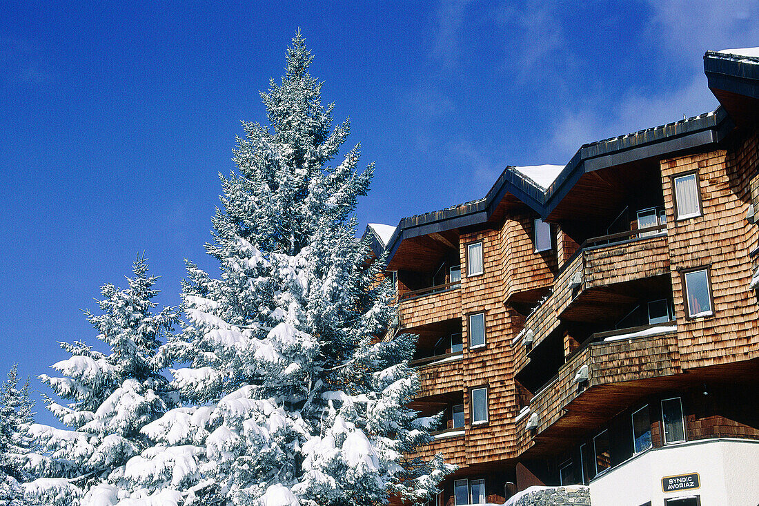 Detail of facade (Jacques Labro, Jena Jacques Orzoni and Jean-Marc Roques architects) at Avoriaz, sky resort. Haute-Savoie, Alps. France