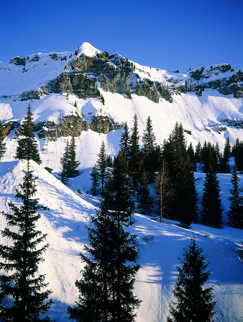 Landscape near Flaine sky resort. Haute-Savoie, Alps. France