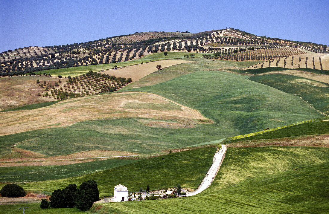 Country landscape near Alhama de Granada. Granada province, Spain
