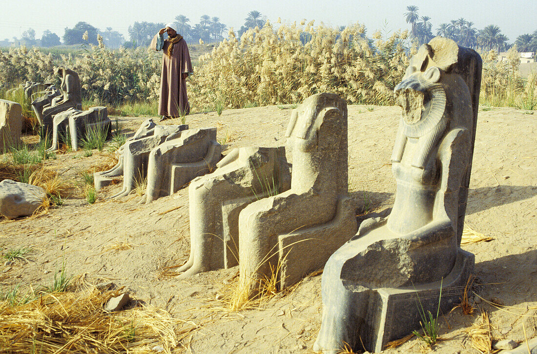 Alignment of statues along the ancient road from Karnak Temple to the city . Luxor. High Egypt. Egypt
