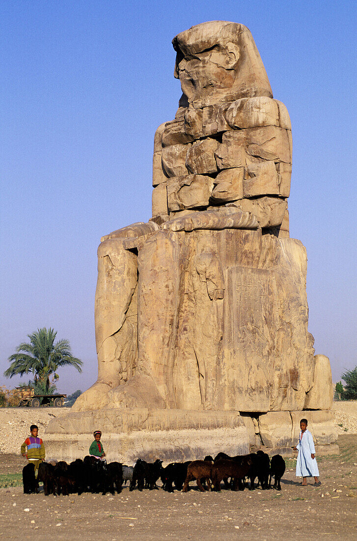 Colossi of Memnon. West Bank. Luxor. High Egypt. Egypt