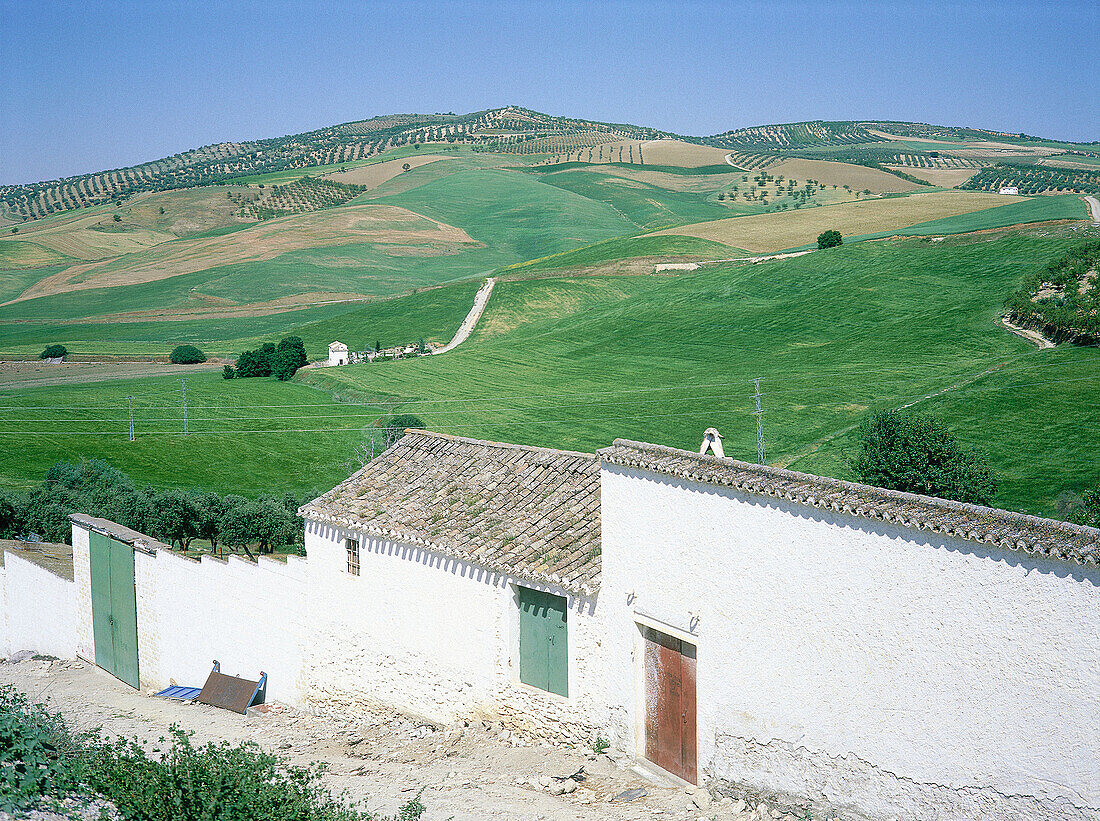 Small white farm. Granada province, Spain