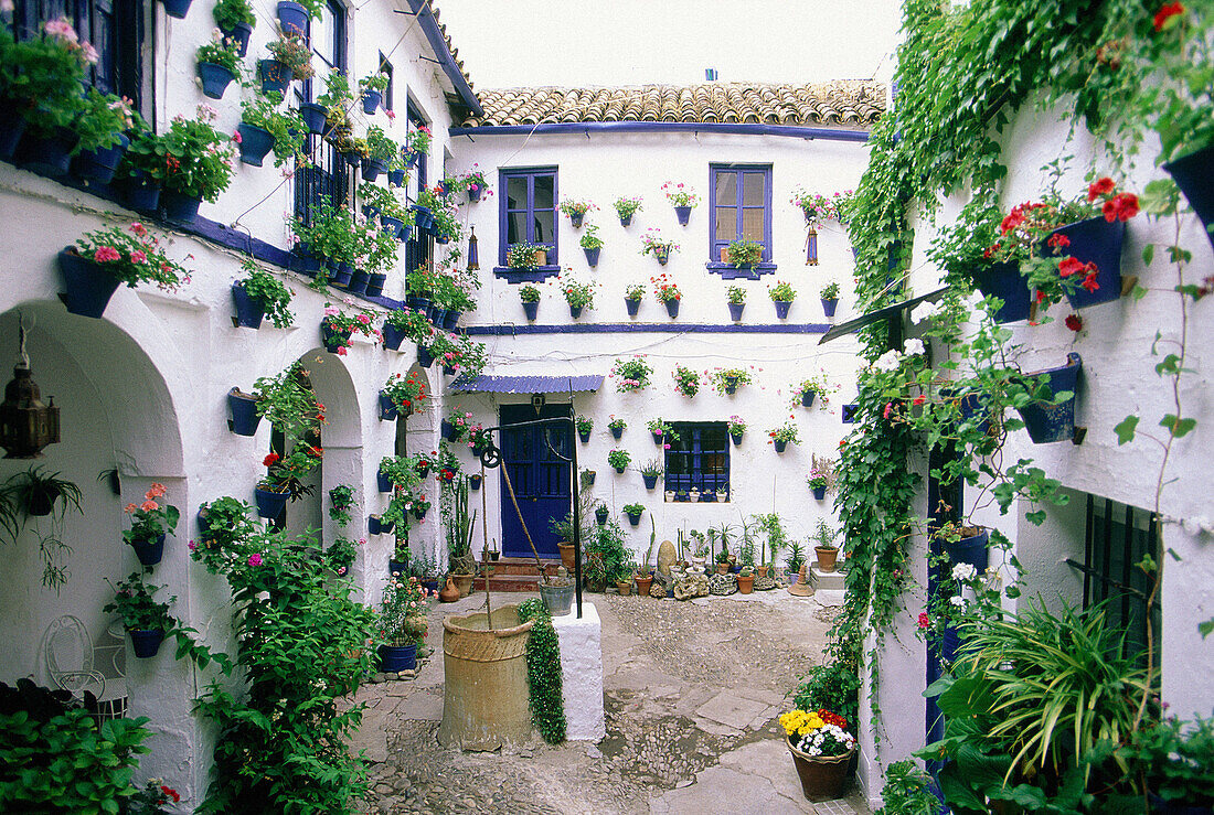 Typical patio (courtyard) of house in bloom. Córdoba. Spain