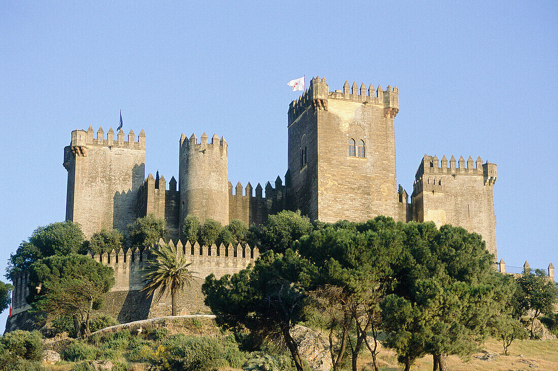 Castle. Almodóvar del Río. Córdoba province. Spain