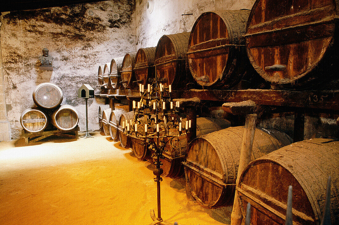 Oak barrels of sherry at wine cellar, González Byass winery. Jerez de la Frontera, Cádiz province. Spain