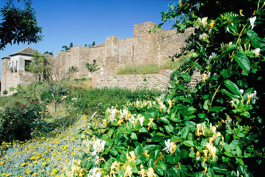 Moorish Alcazaba fortress. Málaga. Spain