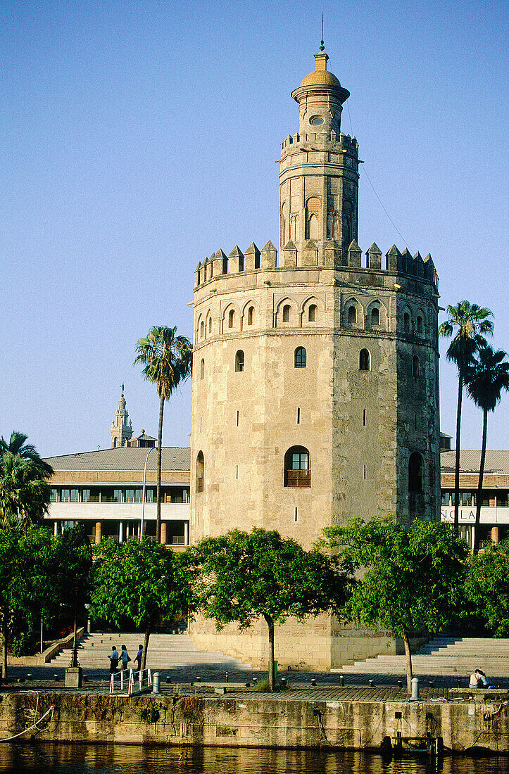 Torre del Oro in Seville. Spain
