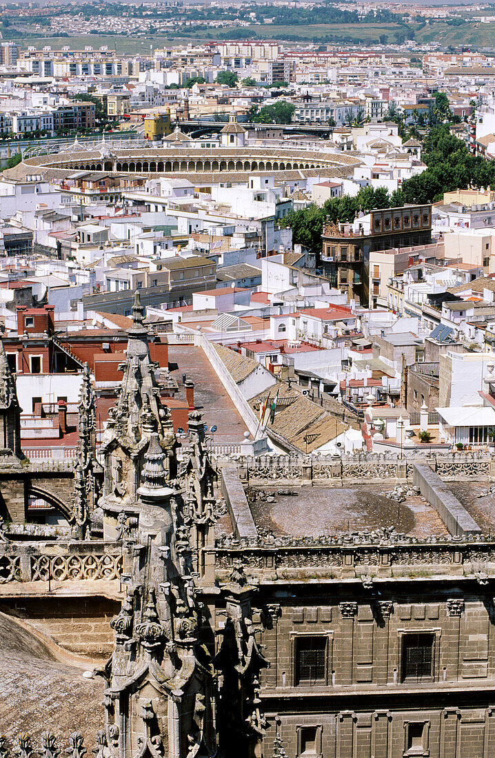 View of the city and La Maestranza from La Giralda. Sevilla. Andalucia. Spain