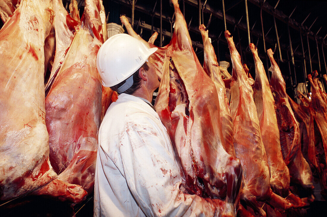 Butcher at work with calves carcasses at Smithfield wholesale market, London. England