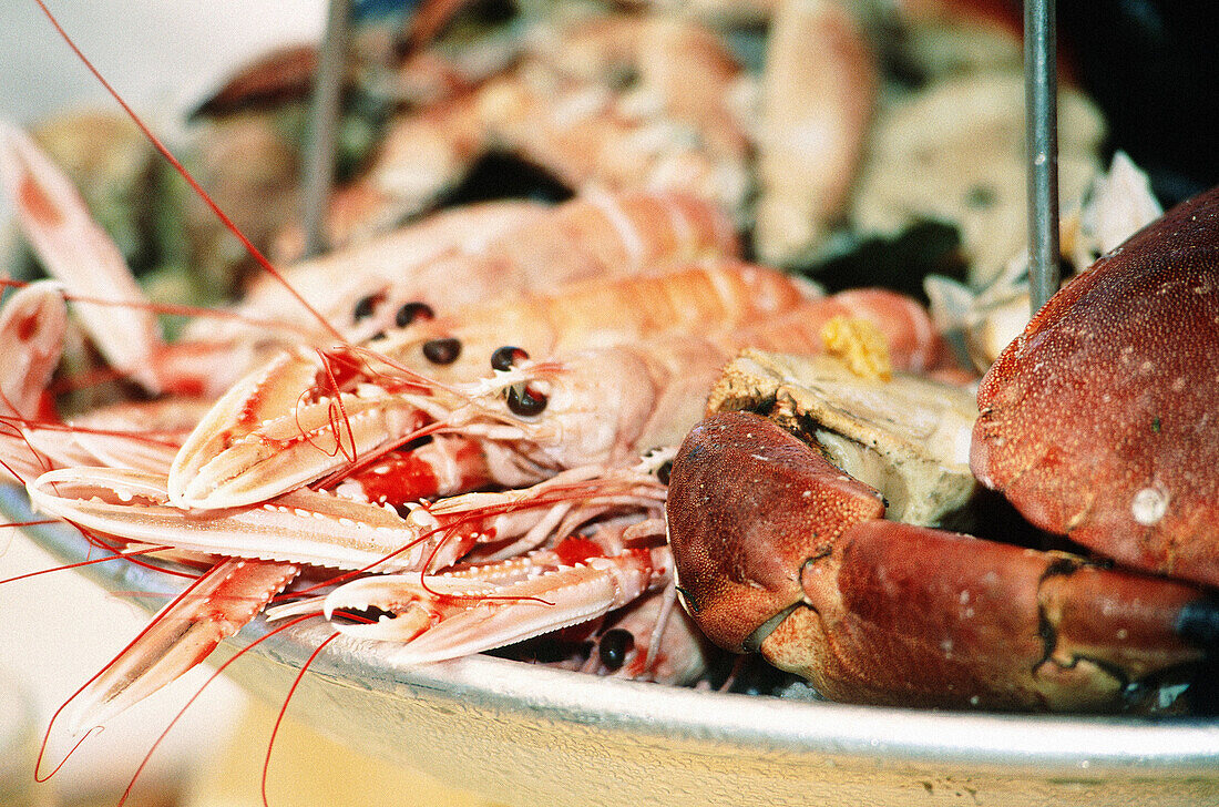 Close up on a sea food dish with crab and lobsters. Normandy. France