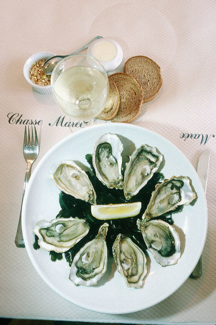 Oysters dish and glass of white wine. Normandy. France