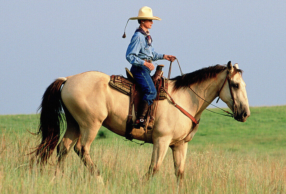 Cowgirl riding horse. Texas. USA