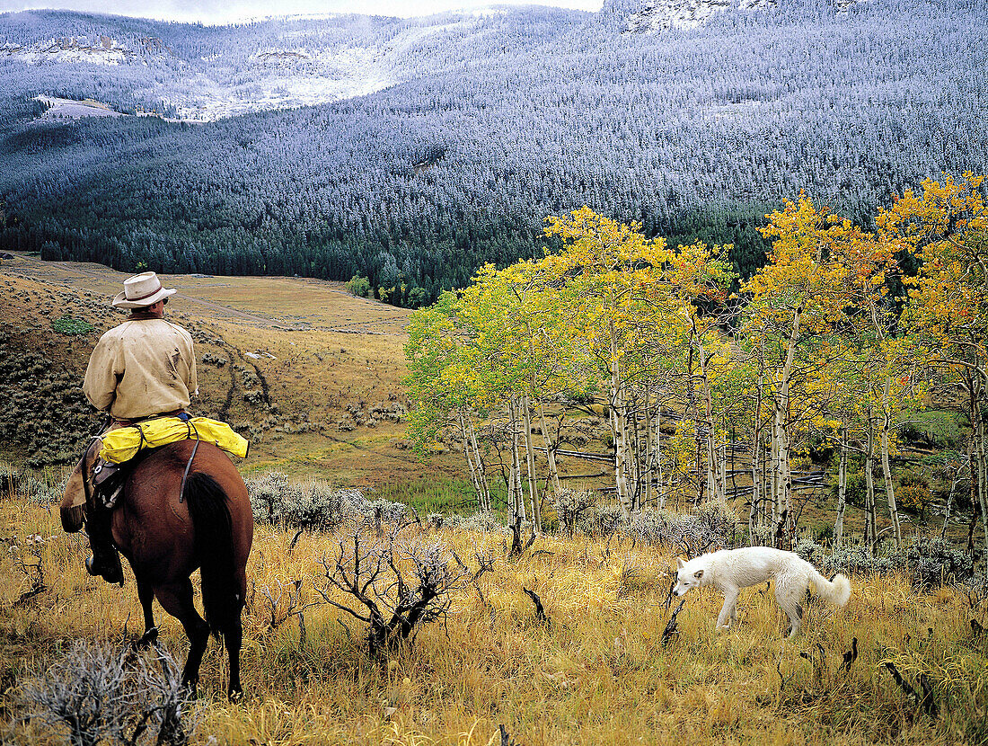 Cowboy with dog. Big Horn Mountains in fall, Wyoming. USA