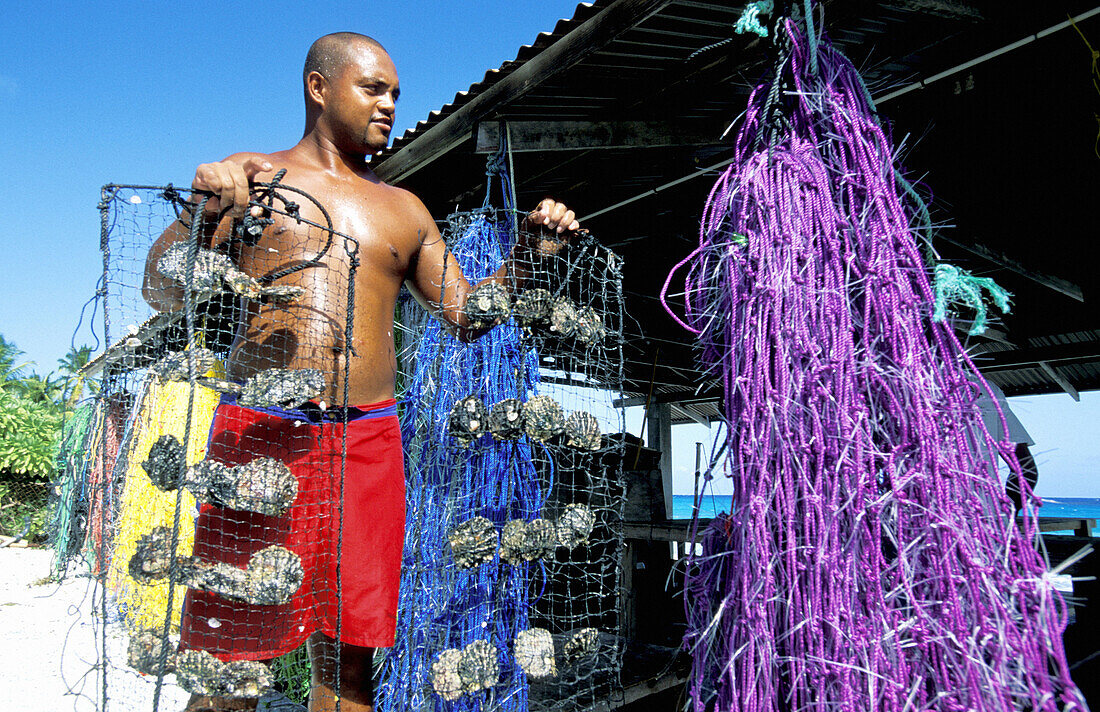 Man working in a black pearls farm. The colored plastic ribbons are used underwater to let the oysters spat grow. Tuamotu Islands, French Polynesia