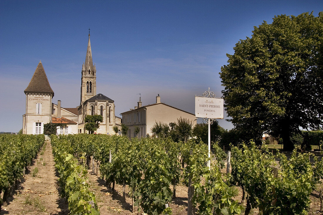 Pomerol, one of the famed wine district of Bordeaux. Gironde. France.