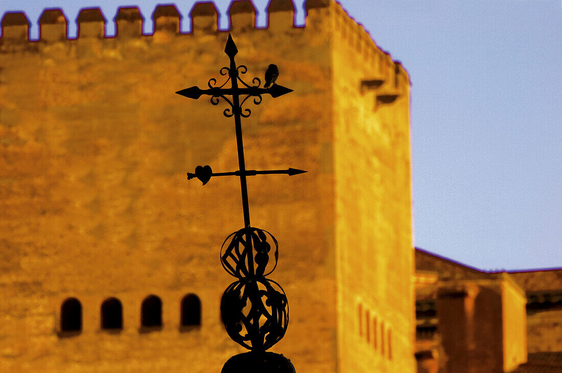 The Alhambra of Granada. Andalucia. Spain.