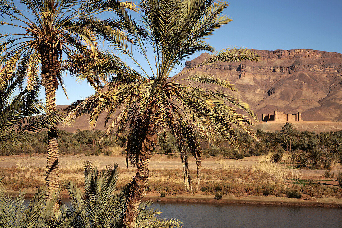 Kasbah Caïd Ali and the Draa river at Tamnougalt. Draa Valley. Morocco.