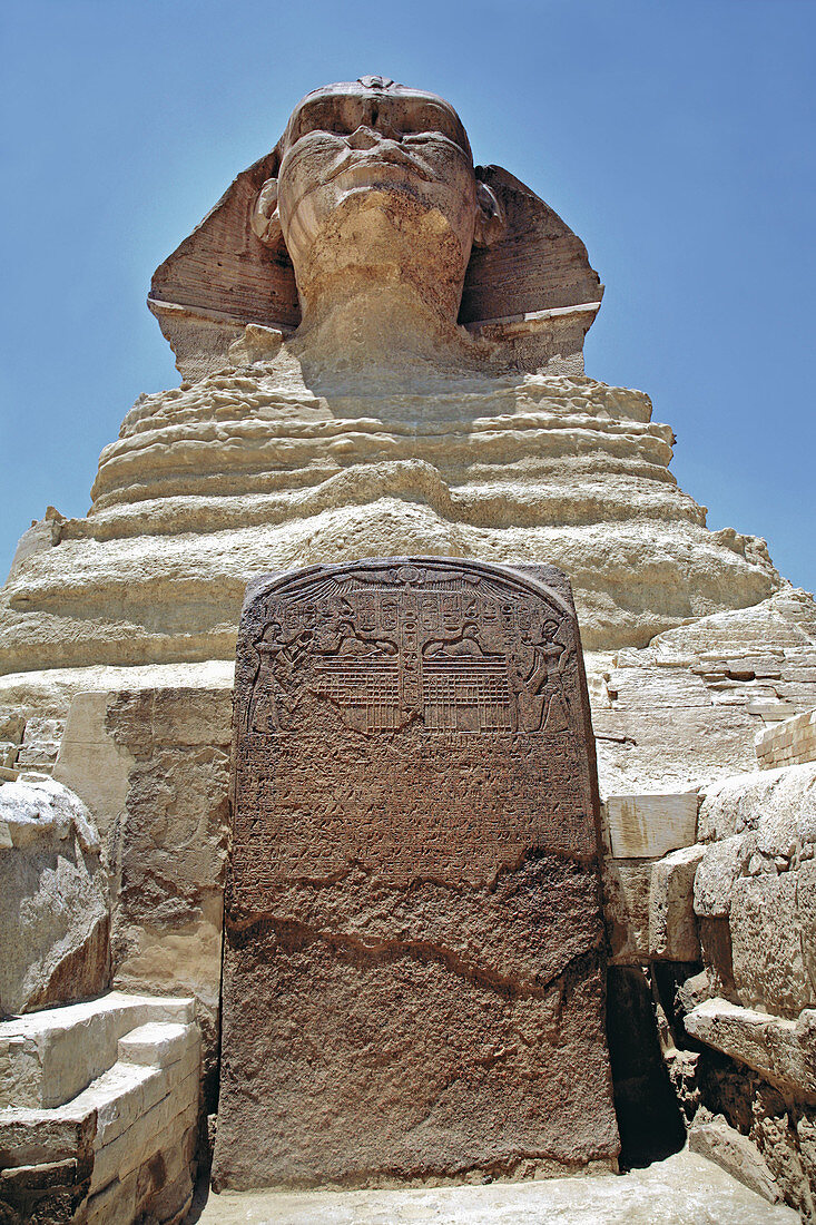 Sphinx of Gizeh. Egypt.