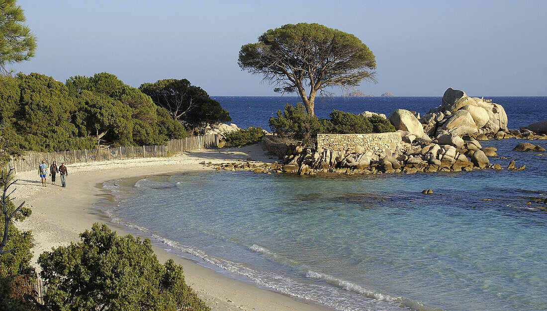 Natural Area of Tamariccio, on the beach of Palombagio, near Porto Vecchio. Corsica. France