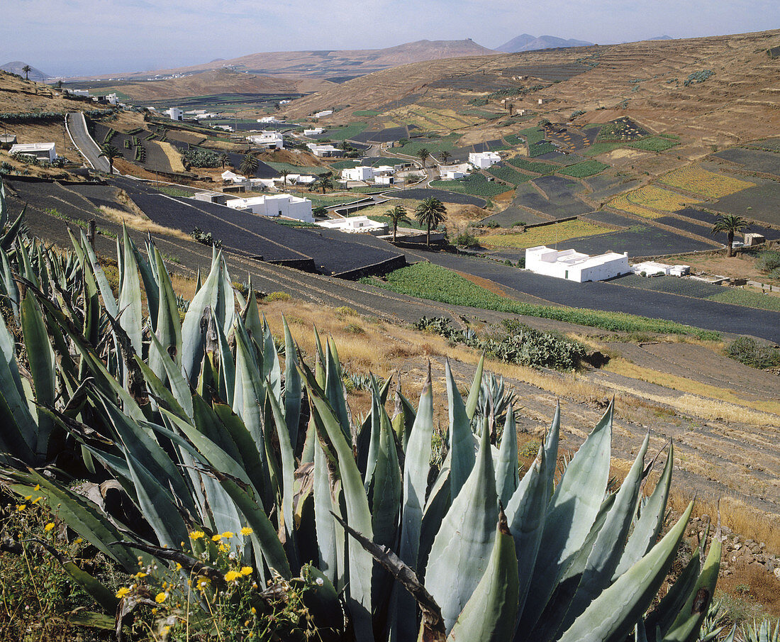 Los Valles village. Lanzarote Island. Canary Islands. Spain