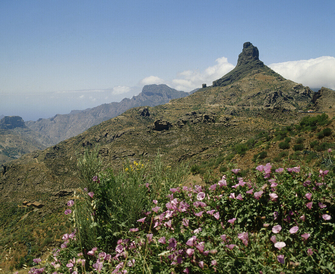 Roque Bentaigo. Gran Canaria. Canary Islands, Spain