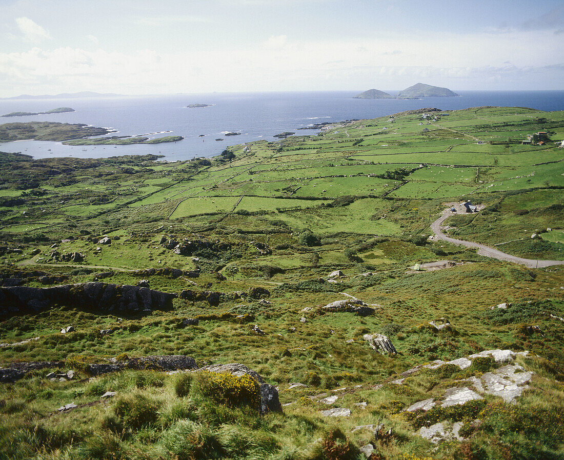 Landscape near Caherdaniel. Iveragh Peninsula. Co. Kerry. Ireland.