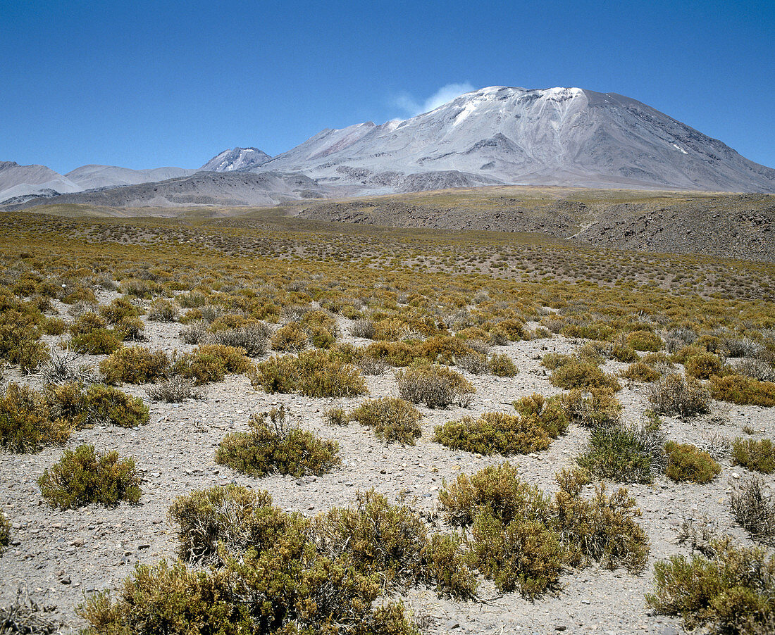 Atacama Desert, Chile