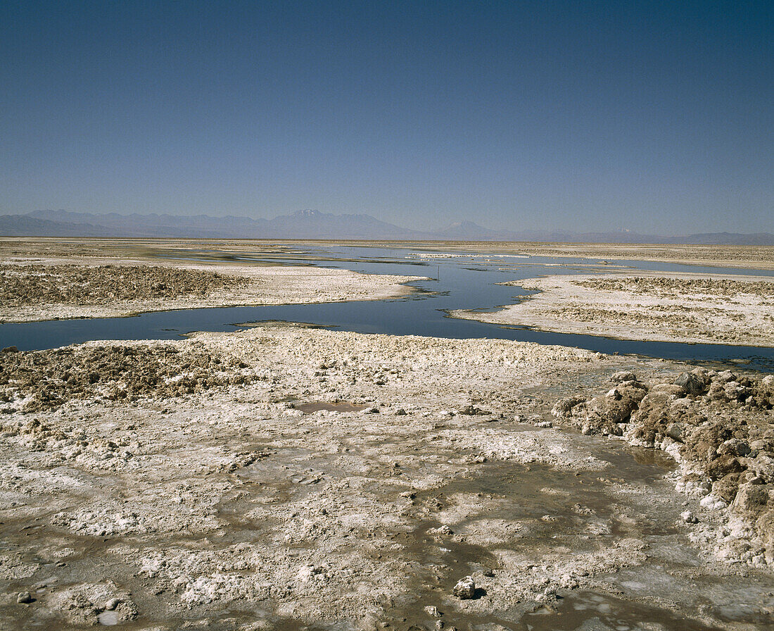 Salar de Atacama. Atacama Desert. Chile