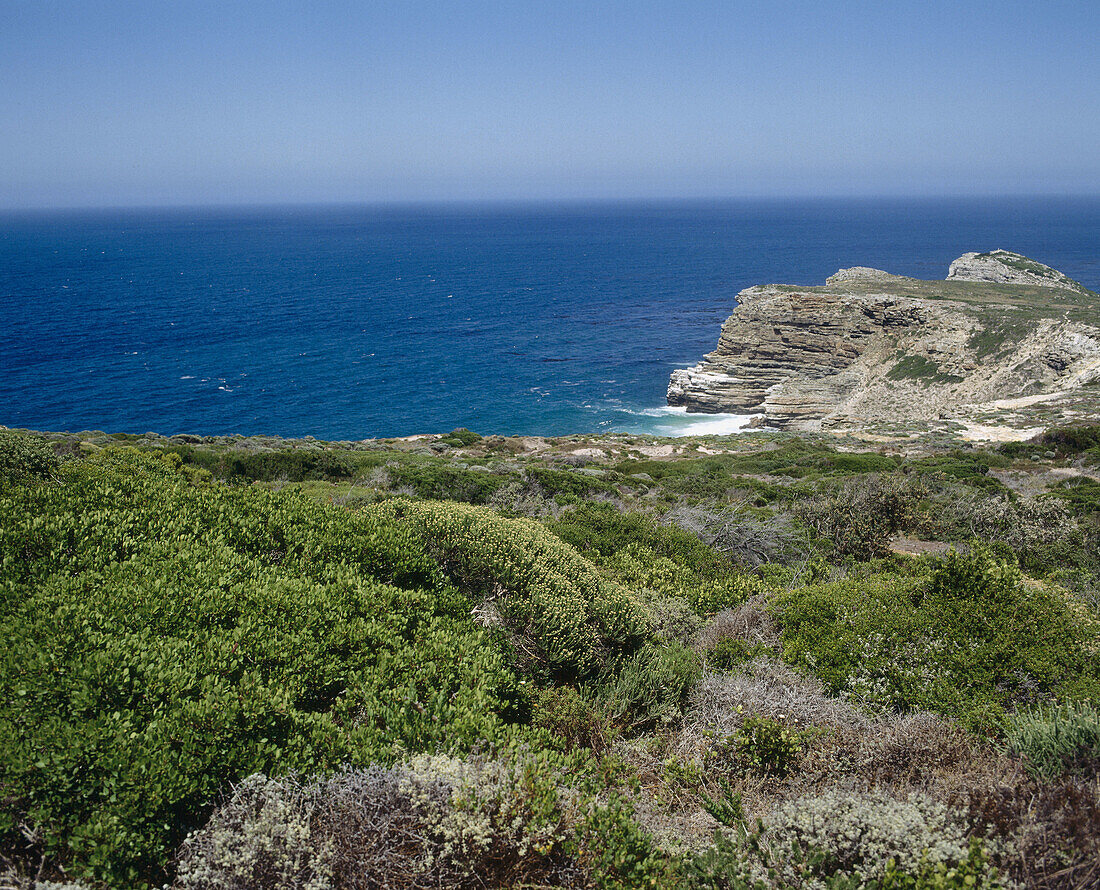 Cape Point Natural Reserve. South Africa