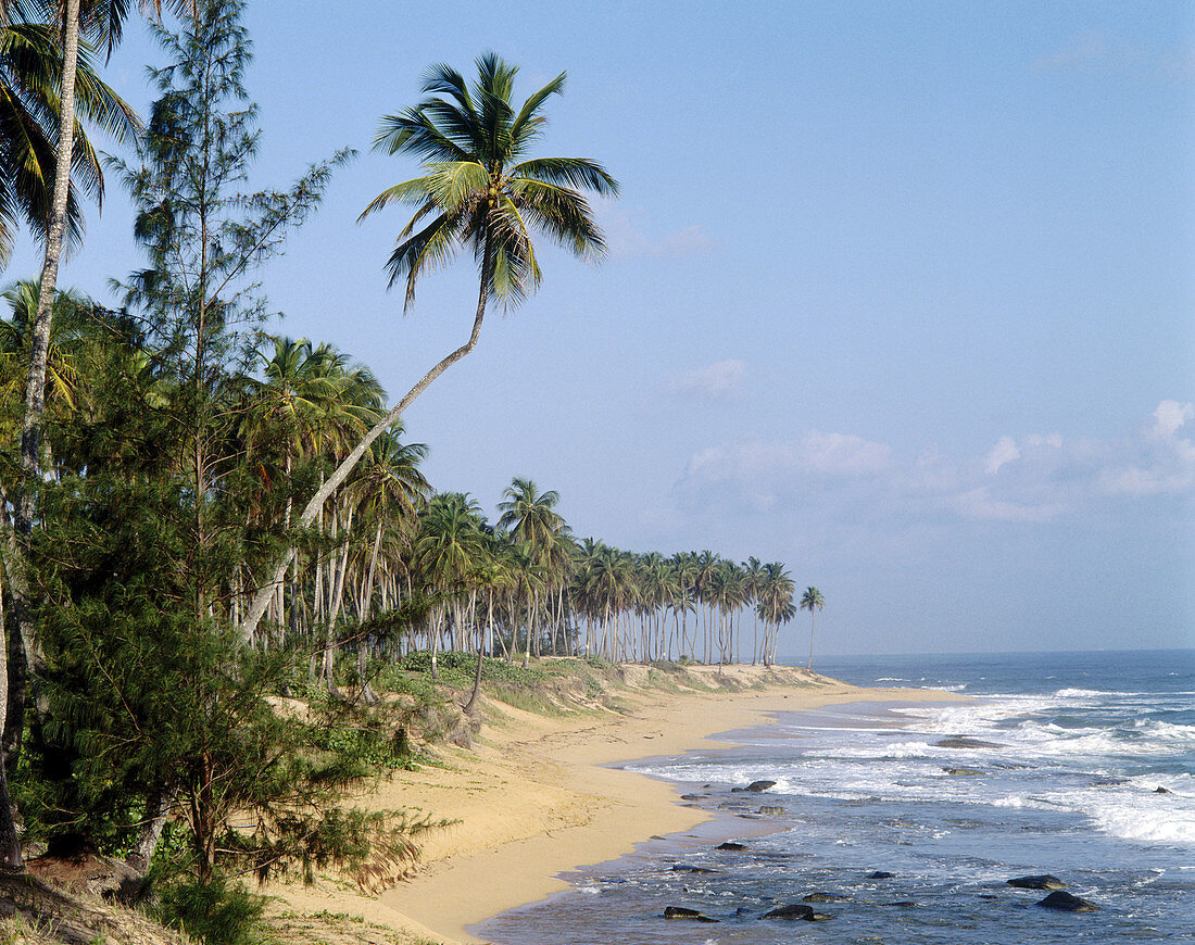 Beach in Loiza. Puerto Rico